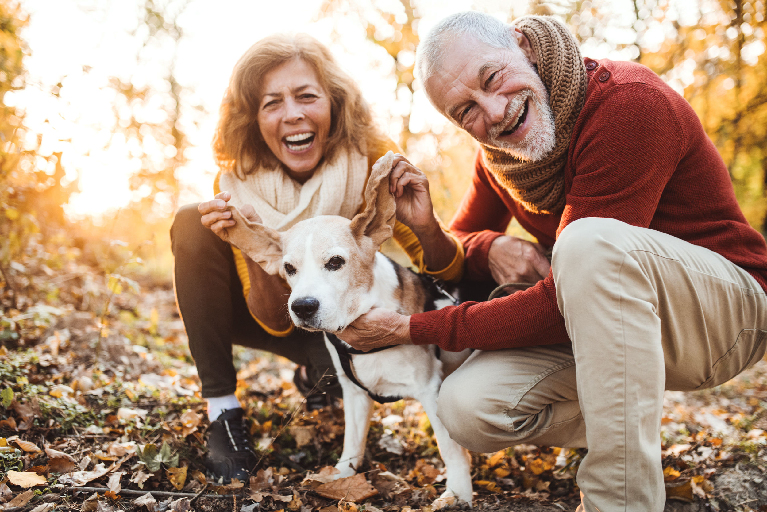 Dog Park Family